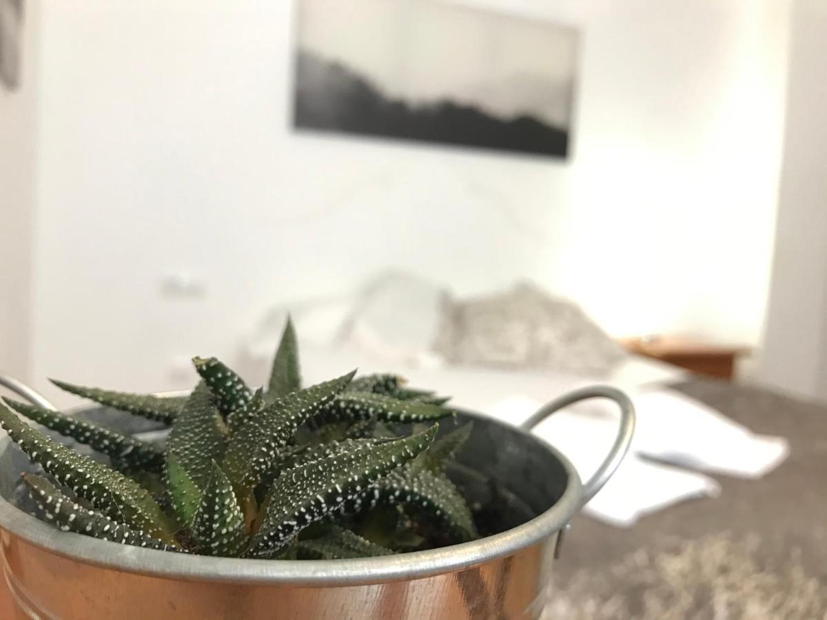 Apartamentos Arha Potes Exteriör bild